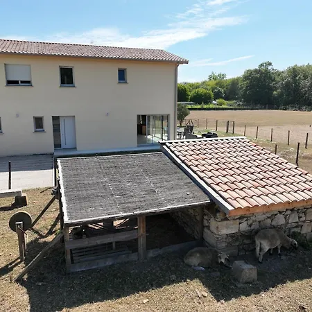 Des Grands Crus 5 Calme Nofete *