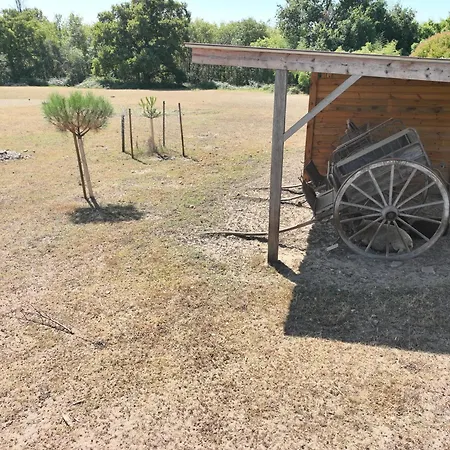 Des Grands Crus 5 Calme Nofete * Cadaujac